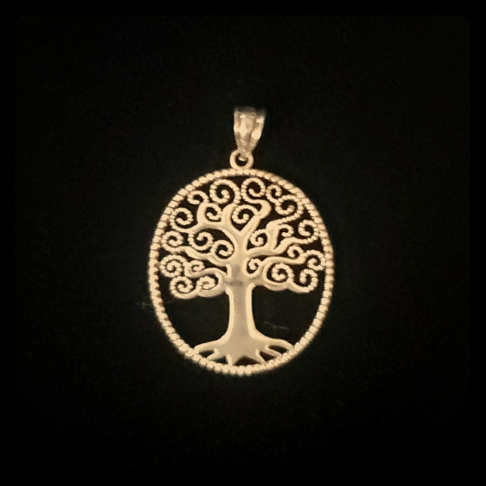 NWOT. 925 SS white gold plated 3D family 🌳 charm